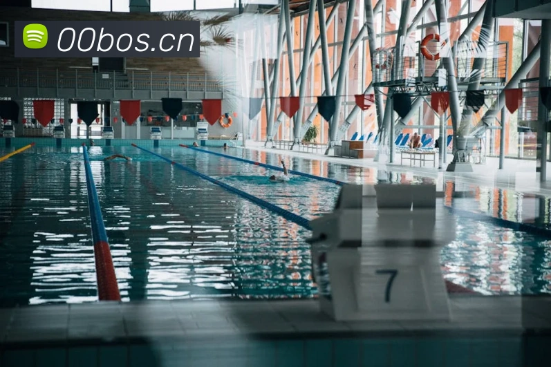 App Interface Preview